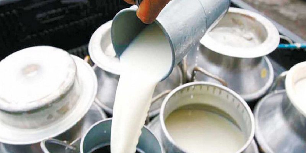 १० हजार किसानलाई दूधमा अनुदान दिँदै भरतपुर महानगरपालिका